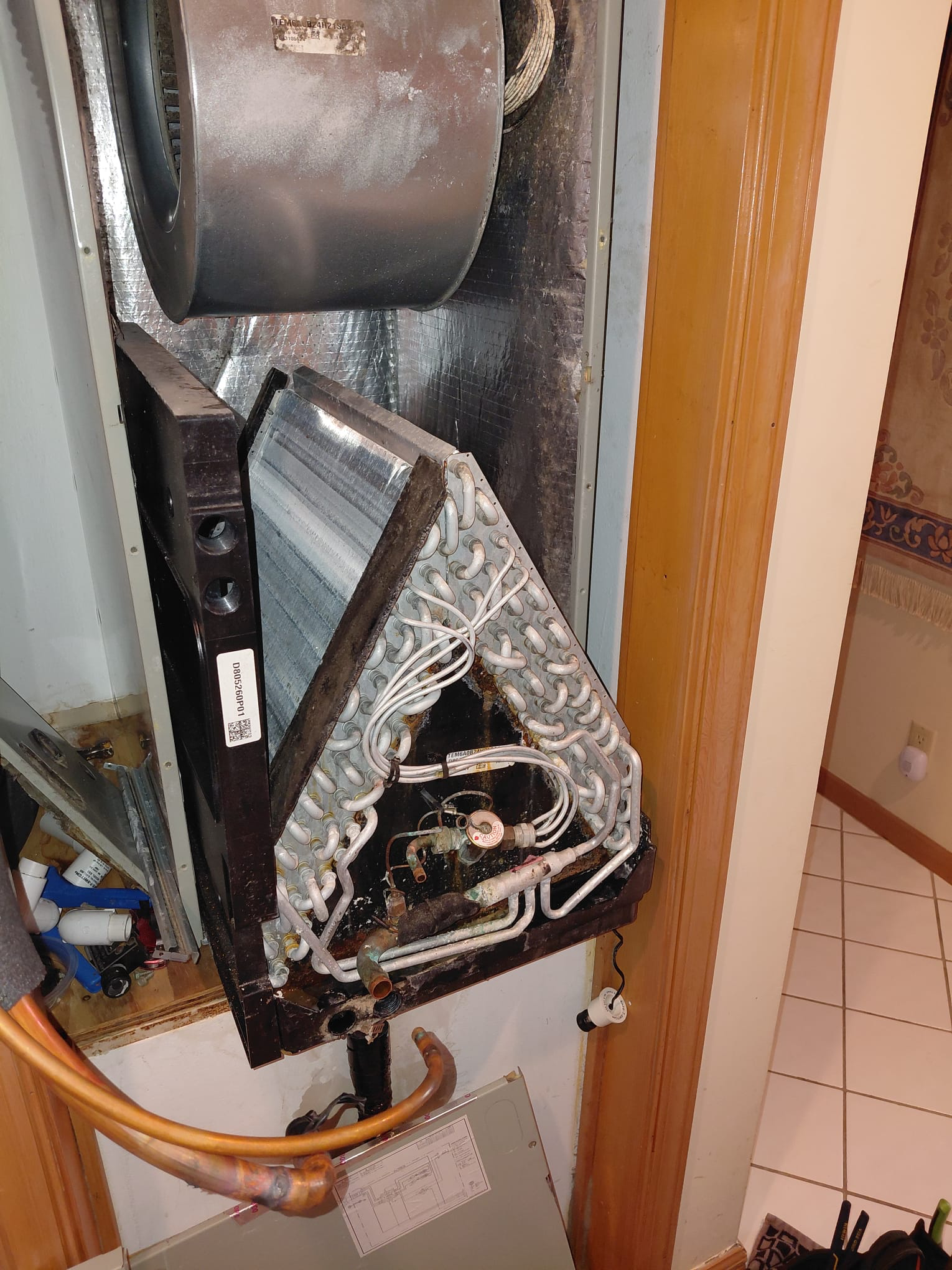 Second view of the removed evaporator coil